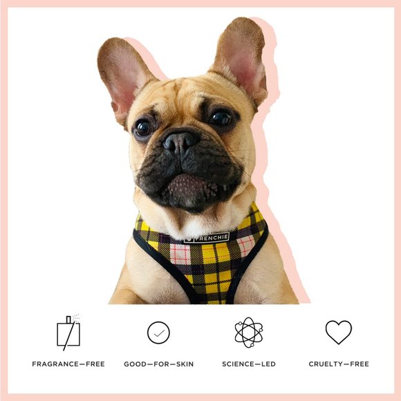 RE:TUNE Invisible Matte Blotting Powder - Picture 3 of 8